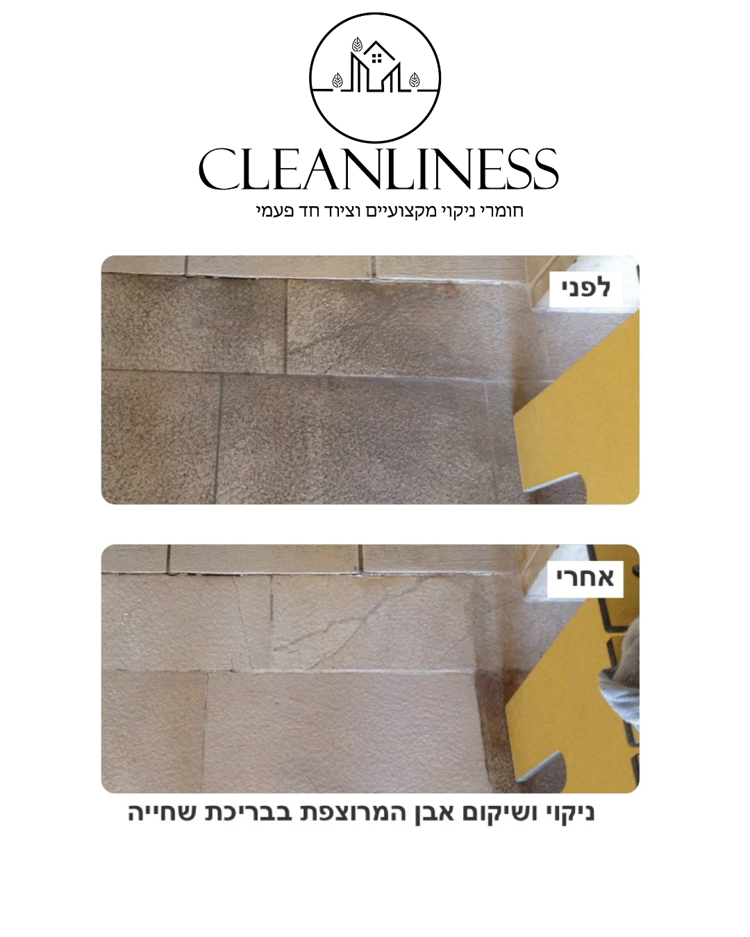 תרכיז להסרת ווקס, סילר ושמנים